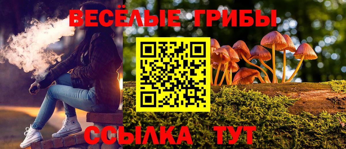 Галлюциногенные грибы ЛСД  Галлюциногенные грибы Cubensis  Вход с VPN  наркошоп  Лесосибирск 