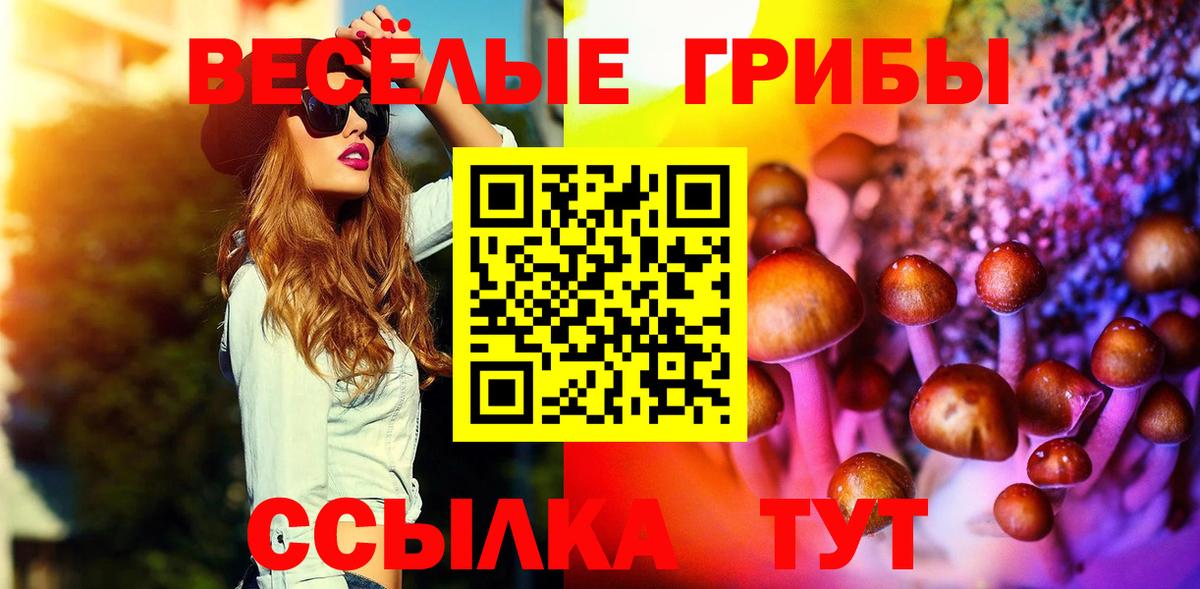 Галлюциногенные грибы Psilocybe Лесосибирск